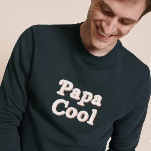 Le sweat Papa cool en coton bio - charbon