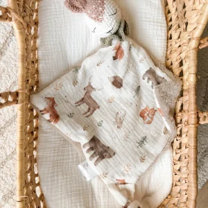 Doudou Dans les bois 🦌🌳