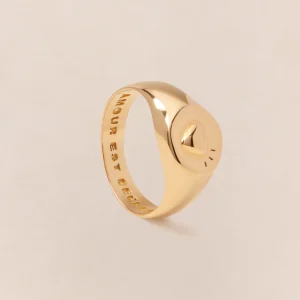 La chevalière précieuse Charly en vermeil