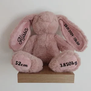 Doudou lapin naissance