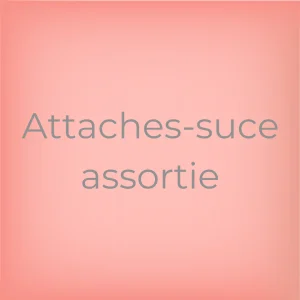 Attache-suce assortie